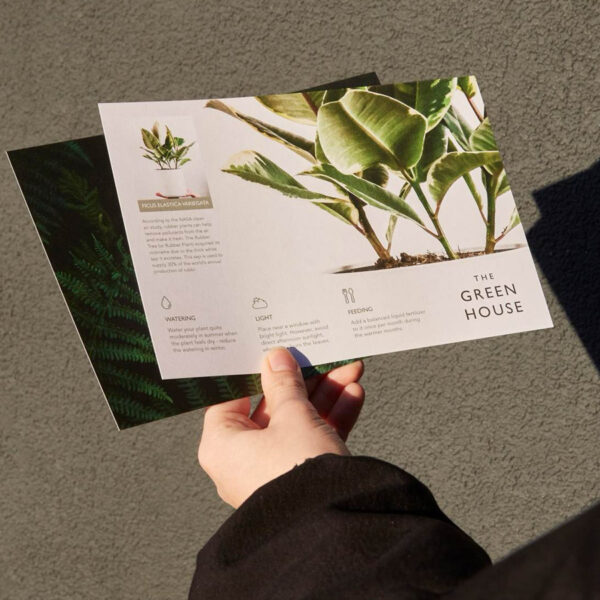 Half-Page Flyers